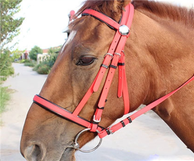 PVC Coated Racing Horse Bridle