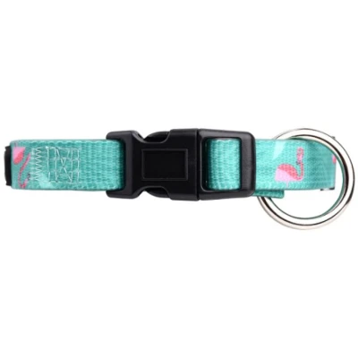 Collar i plom ajustables per a gossos amb estampat agradable